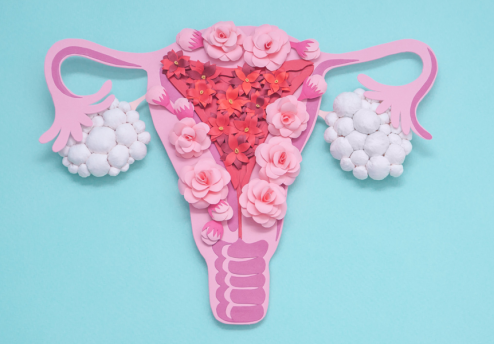 Zašto je crijevni mikrobiom važan za PCOS i endometriozu?
